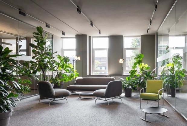 Natural light photo studio space